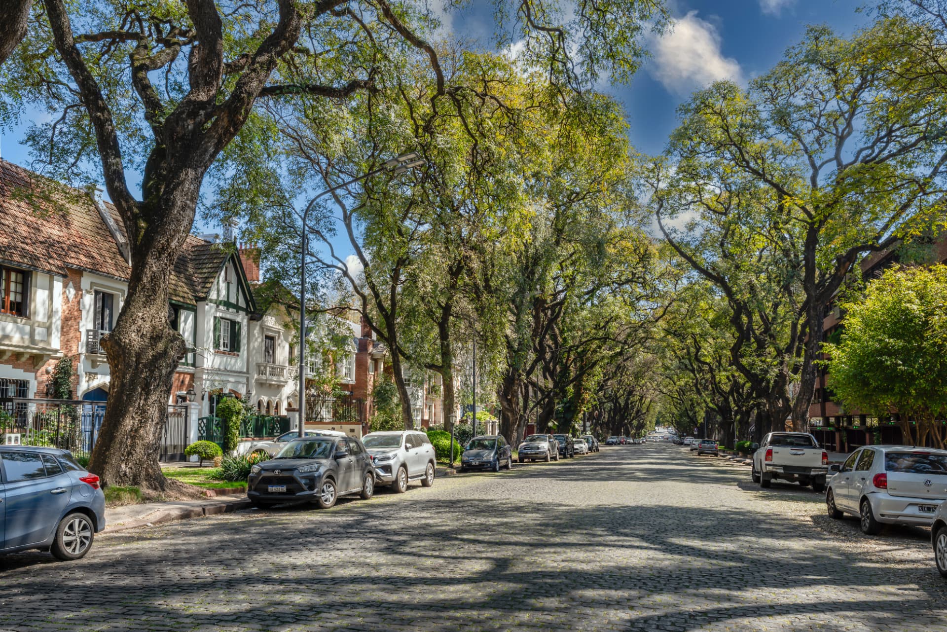 Calle adoquinada y arbolada con casas de estilo en Belgrano R